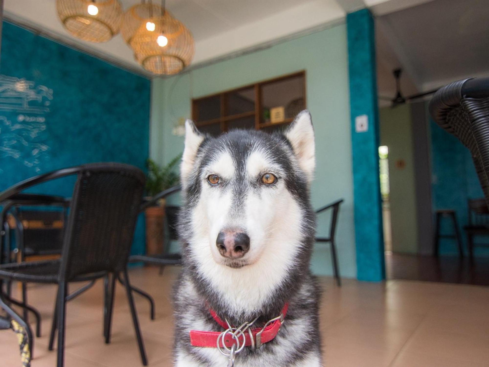 Thansila Resort Ranong Bagian luar foto